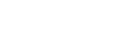 Public Transport Authority